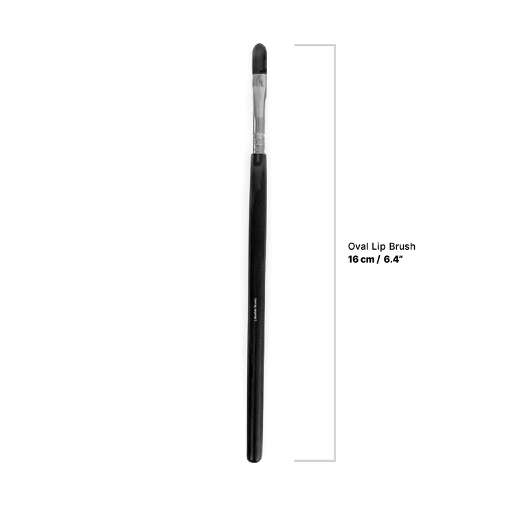Make Up Brush Kit